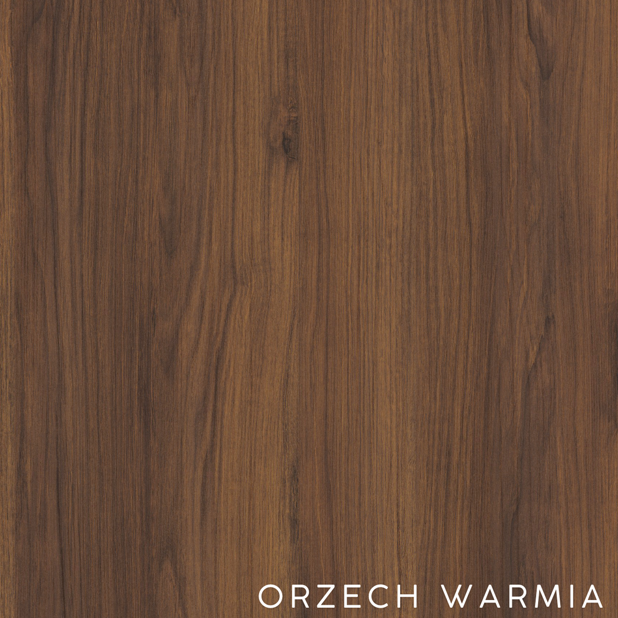 WARMIA WALNUT 1